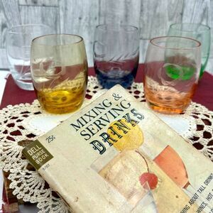 Set of 5 Vintage Cordial Shot Glasses Etched Multicolor w/VTG Drink Recipe Book